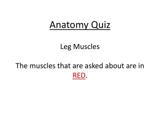 Anatomy Quiz Leg Muscles The muscles that are asked about are in RED .