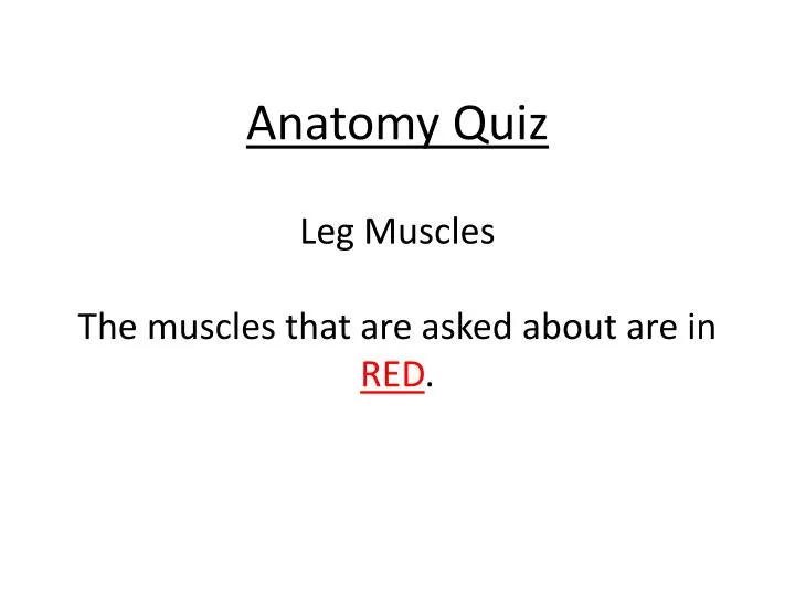 anatomy quiz leg muscles the muscles that are asked about are in red