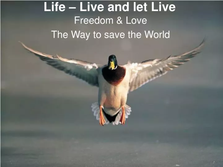 life live and let live