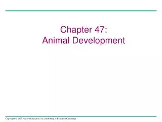 Chapter 47: Animal Development