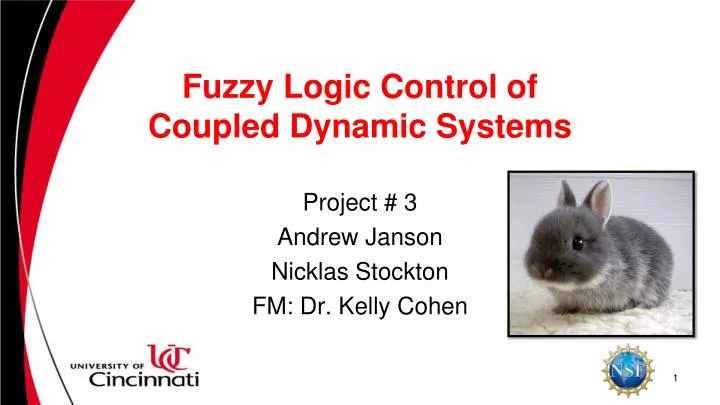 fuzzy logic control of coupled dynamic systems