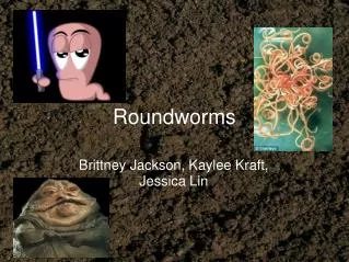 Roundworms