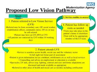 Proposed Low Vision Pathway