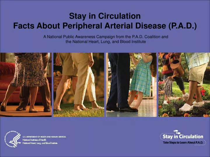stay in circulation facts about peripheral arterial disease p a d