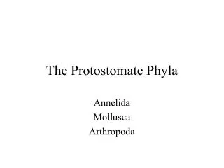 The Protostomate Phyla