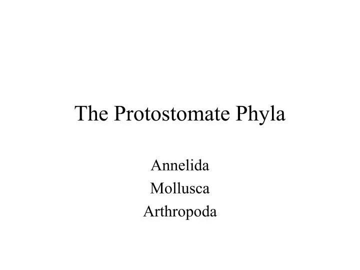 the protostomate phyla