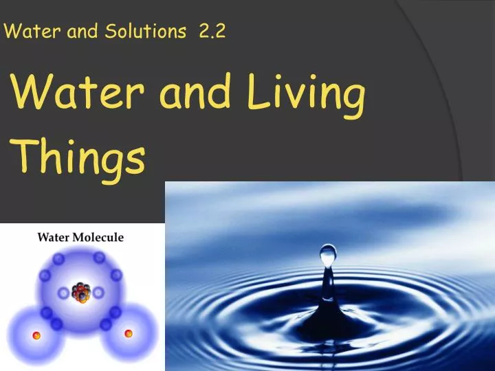 water and solutions 2 2