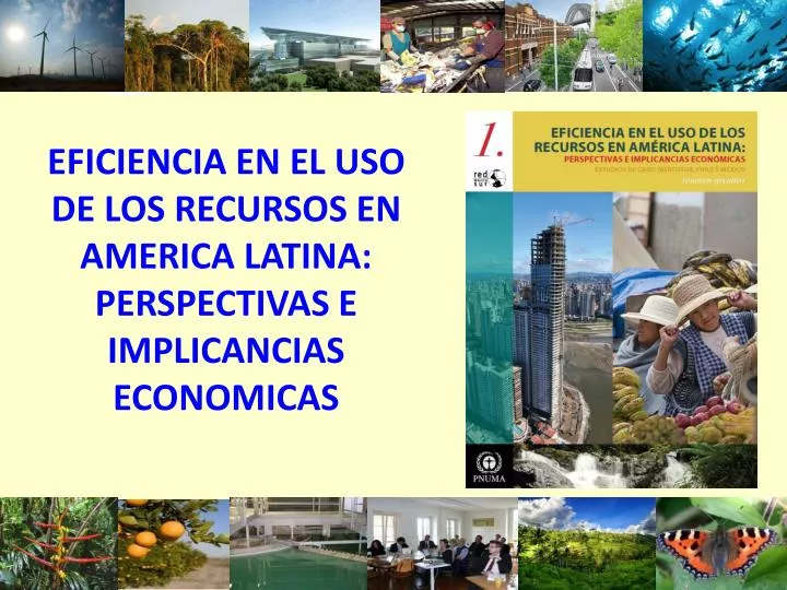 eficiencia en el uso de los recursos en america latina perspectivas e implicancias economicas