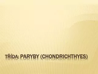 t da paryby chondrichthyes