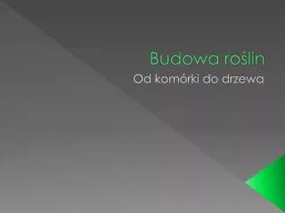 budowa ro lin