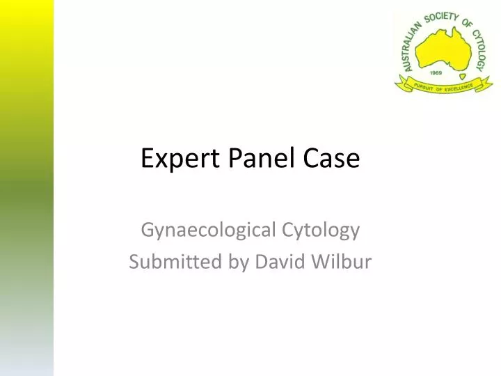 expert panel case
