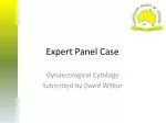 Expert Panel Case - slide 1