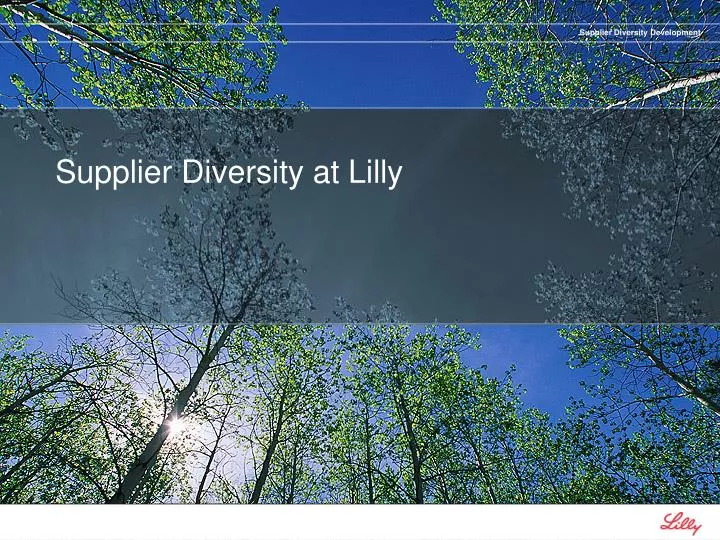 supplier diversity at lilly