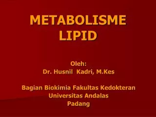 metabolisme lipid