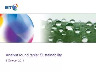 Analyst round table: Sustainability