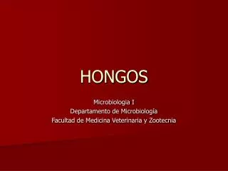 hongos