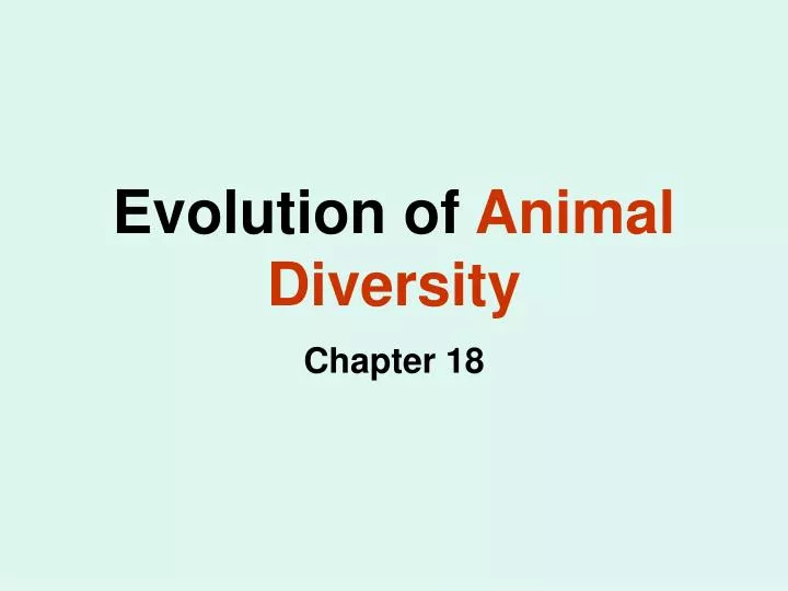 evolution of animal diversity