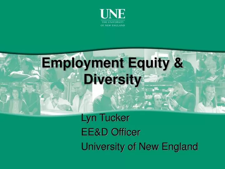 employment equity diversity