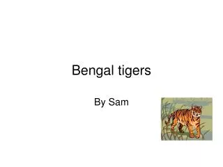 Bengal tigers