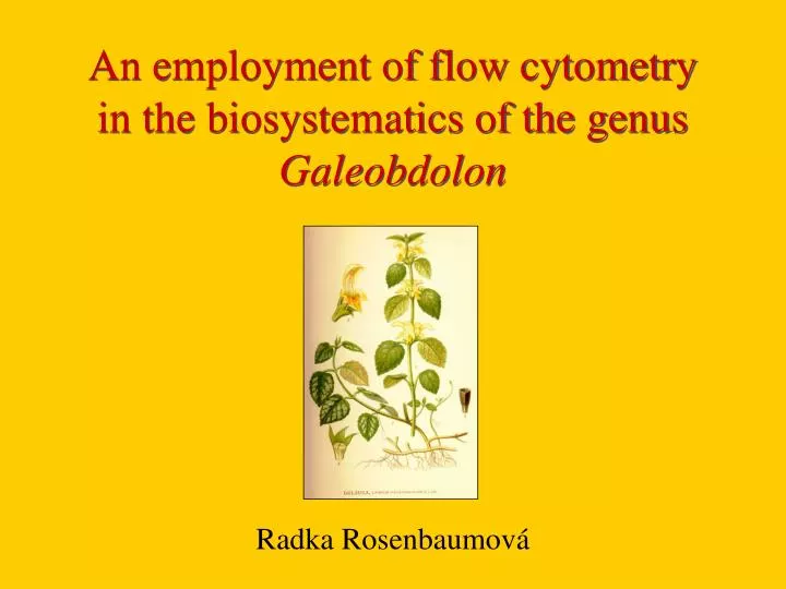 an employment of flow cytometry in the biosystematics of the genus galeobdolon