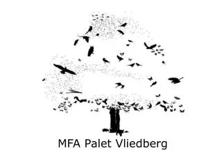 mfa palet vliedberg