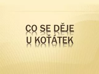 co se d je u ko tek