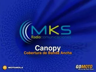 canopy