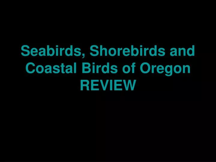 seabirds shorebirds and coastal birds of oregon review