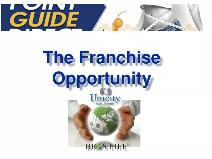 the franchise opportunity