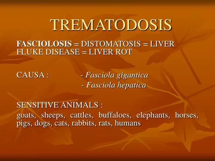 trematodosis