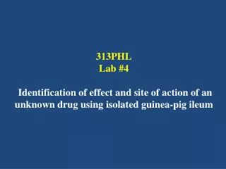 Why Guinea pig ileum is used?