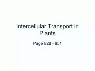 Intercellular Transport in Plants