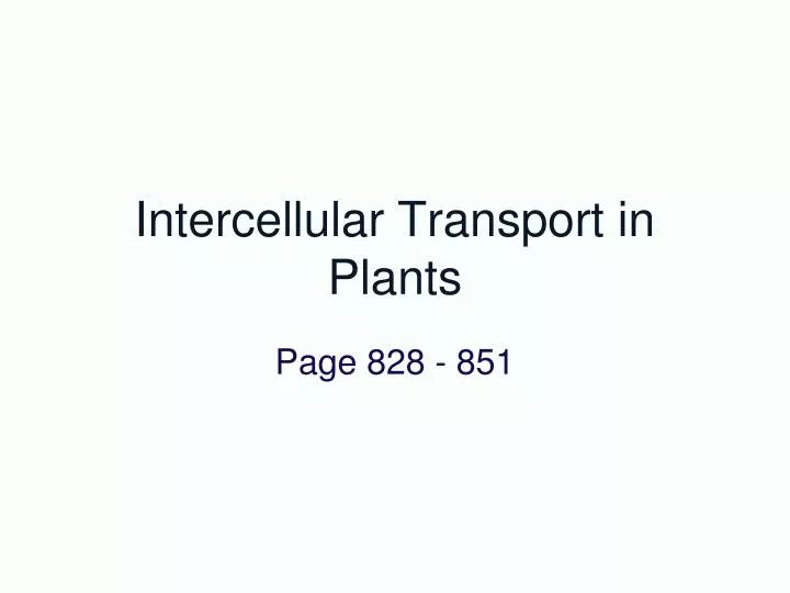 intercellular transport in plants