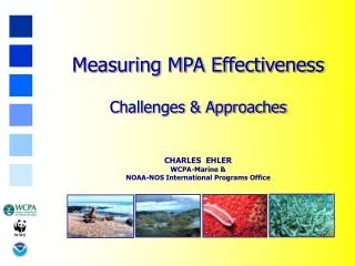 Measuring MPA Effectiveness Challenges &amp; Approaches