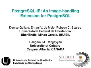 PostgreSQL-IE: An Image-handling Extension for PostgreSQL