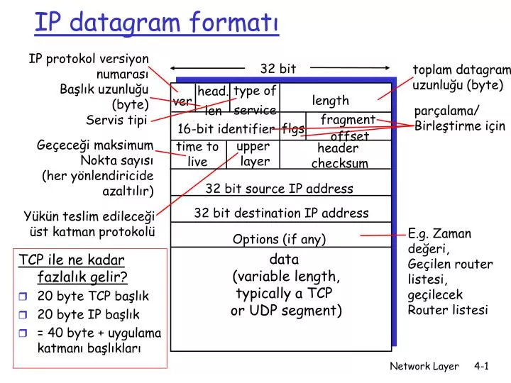 ip datagram format