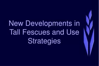 New Developments in Tall Fescues and Use Strategies