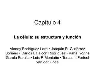 cap tulo 4