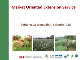 Market Oriented Extension Service
