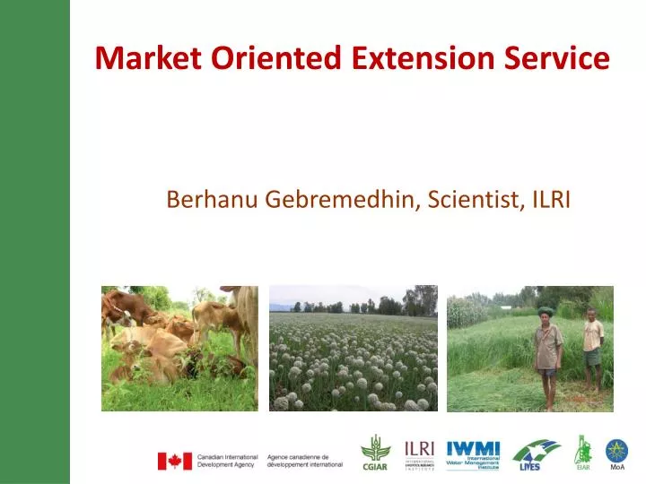 market oriented extension service