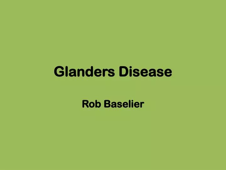 glanders disease