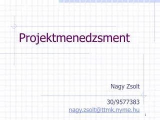 projektmenedzsment
