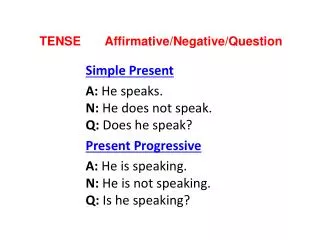 TENSE Affirmative / Negative / Question