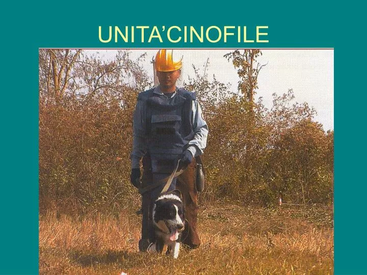 unita cinofile