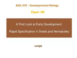 A First Look at Early Development: Rapid Specification in Snails and Nematodes