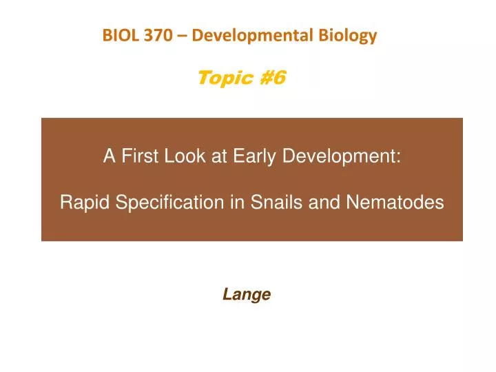 a first look at early development rapid specification in snails and nematodes