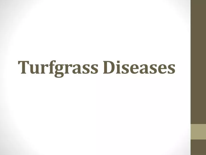 turfgrass diseases
