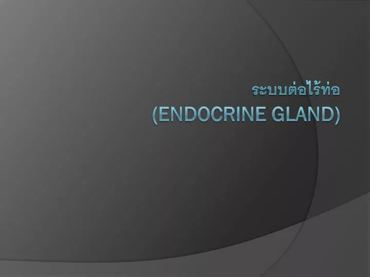 endocrine gland