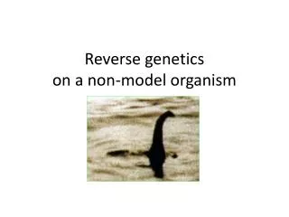 Reverse genetics on a non-model organism