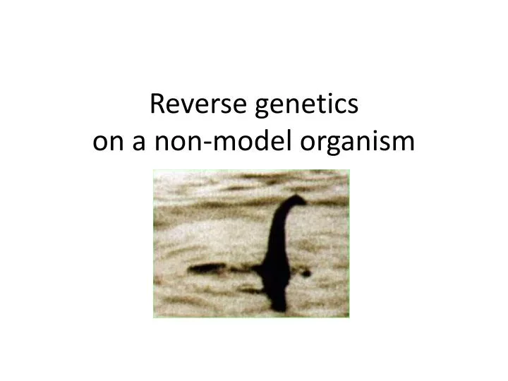 reverse genetics on a non model organism